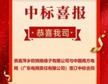 Successful Partnerships with China Southern Power Grid Again